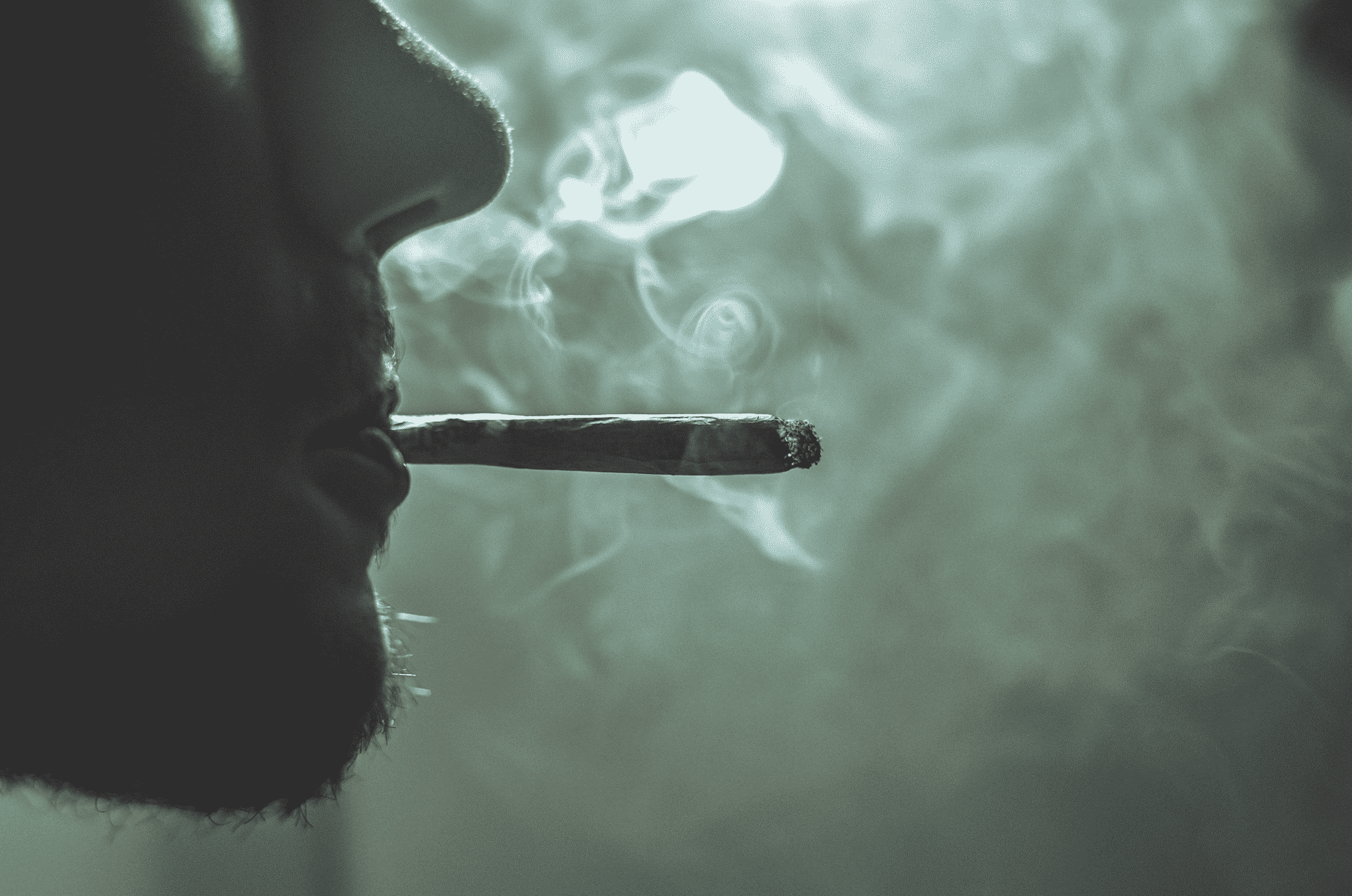 Screen Shot 2022 05 19 at 4.38.34 PM