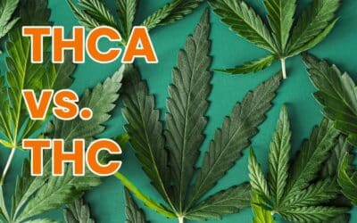 Understanding The DifferenceBetween THCA & THC 