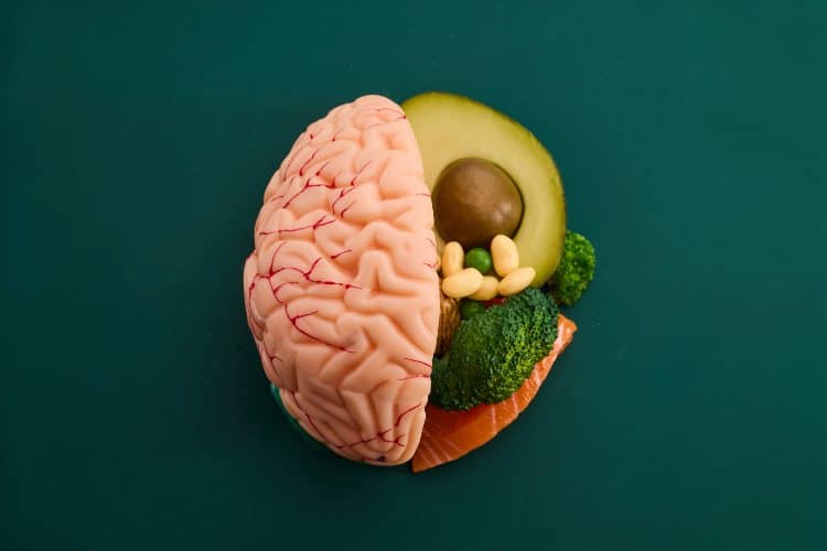 The Gut-Brain Connection in Mental Health
